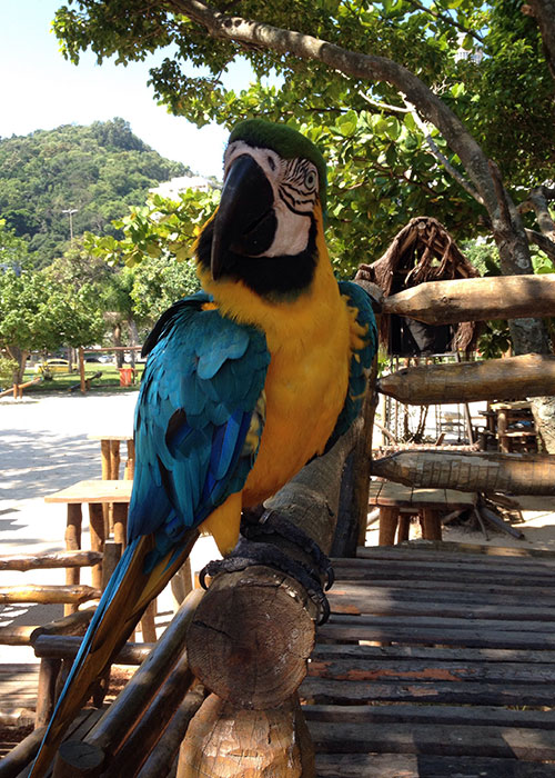 honduras-itinerario-transensa